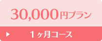 30,000円プラン